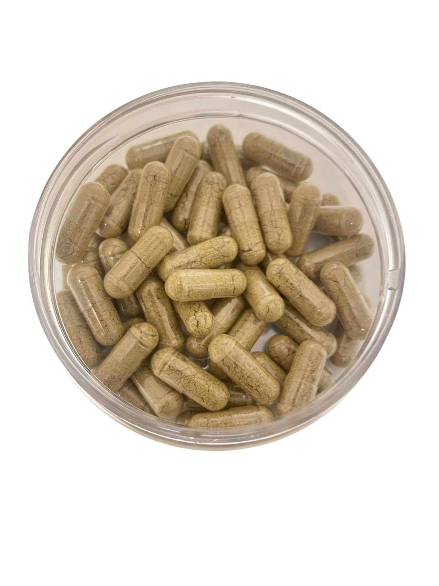 sea moss plus