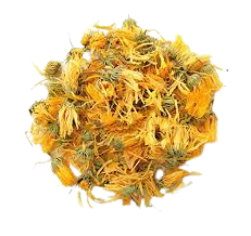 Calendula