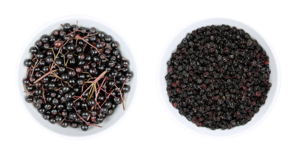 Elderberry