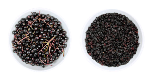 Elderberry