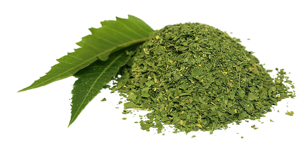 Neem leaf powder