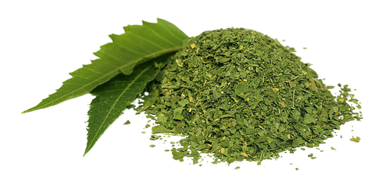 Neem leaf powder