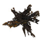 Irish Moss